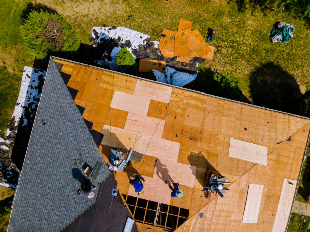 Best Roof Repair Services  in Norway, MI