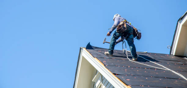 Best Roof Waterproofing Services  in Norway, MI